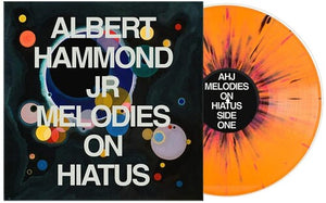 Albert Hammond Jr - Melodies on Hiatus