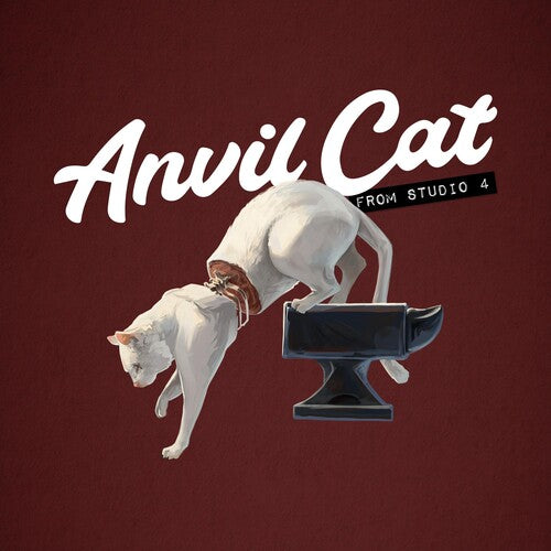 Anvil Cat - From Studio 4