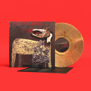 Alan Sparhawk/Trampled By Turtles [Sunflare]