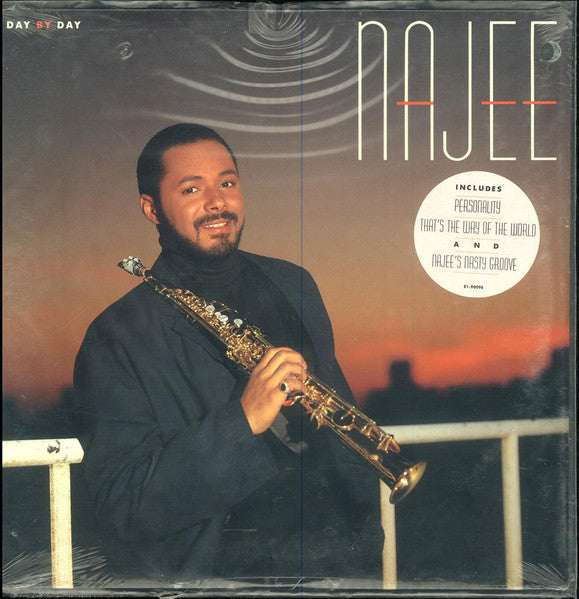 Najee - Day By Day