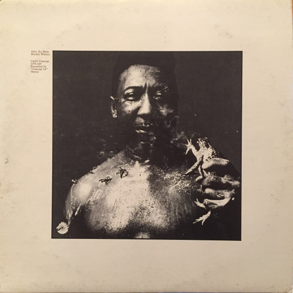 Muddy Waters - After The Rain