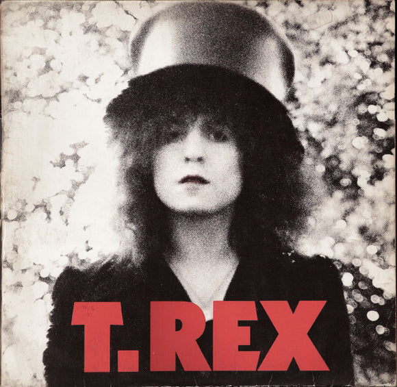 T. Rex - The Slider