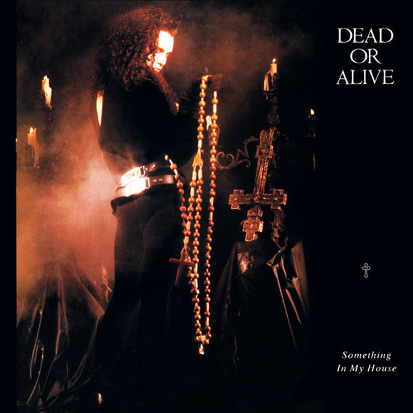 Dead Or Alive - Something In My House