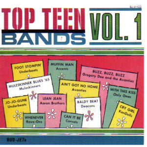 Various - Top Teen Bands Vol. 1