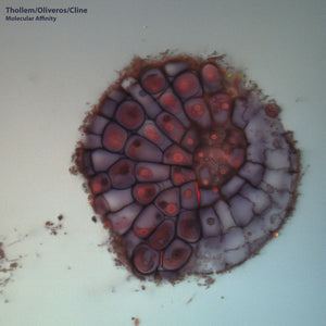 Thollem McDonas - Molecular Affinity