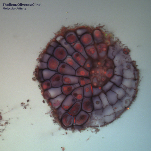Thollem McDonas - Molecular Affinity
