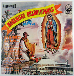 Los Llaneros De Fresnillo - Mananitas Guadalupanas Con Norteño