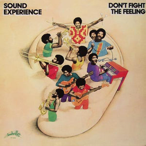 Sound Experience - Don't Fight The Feeling