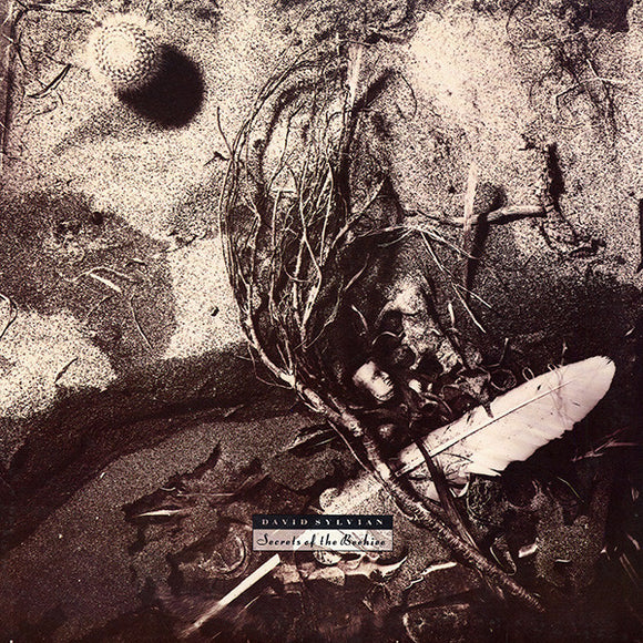 David Sylvian - Secrets Of The Beehive