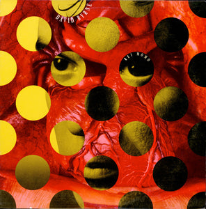 David Byrne - Rei Momo