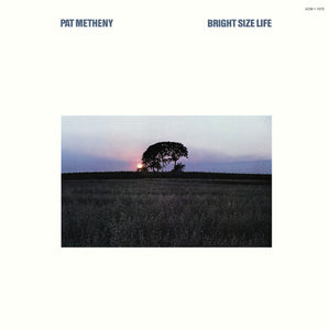 Pat Metheny - Bright Size Life