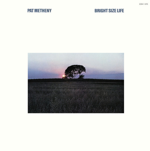 Pat Metheny - Bright Size Life