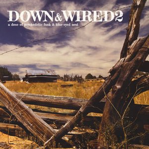 Various - Down & Wired 2