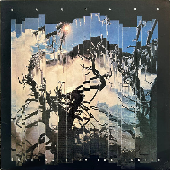 Bauhaus - Burning From The Inside