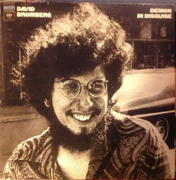 David Bromberg - Demon In Disguise