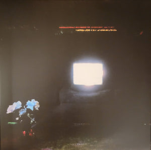 Emeralds - Does It Look Like I'm Here?