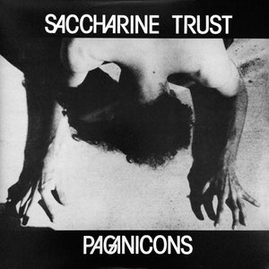 Saccharine Trust - Paganicons