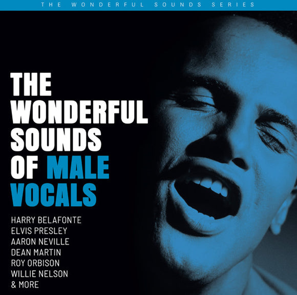Various - The Wonderful Sounds Of Male Vocals