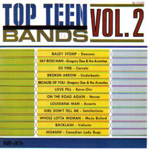 Various - Top Teen Bands Vol. 2