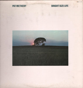 Pat Metheny - Bright Size Life