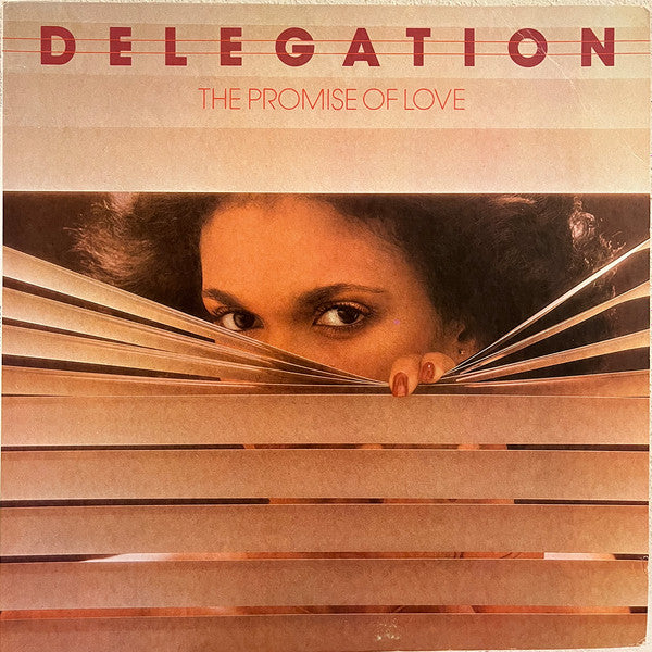 Delegation - The Promise Of Love – SolSta Records