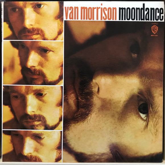 Van Morrison - Moondance