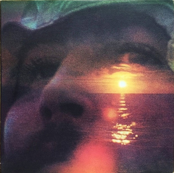 David Crosby - If I Could Only Remember My Name