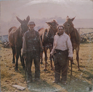 The Ozark Mountain Daredevils - Men From Earth