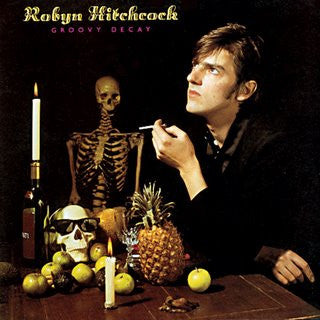 Robyn Hitchcock - Groovy Decay