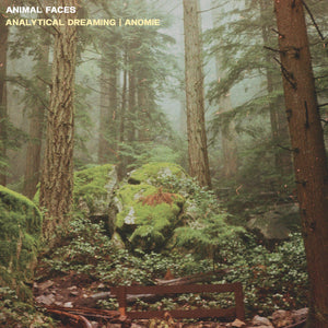 Animal Faces - Analytical Dreaming | Anomie