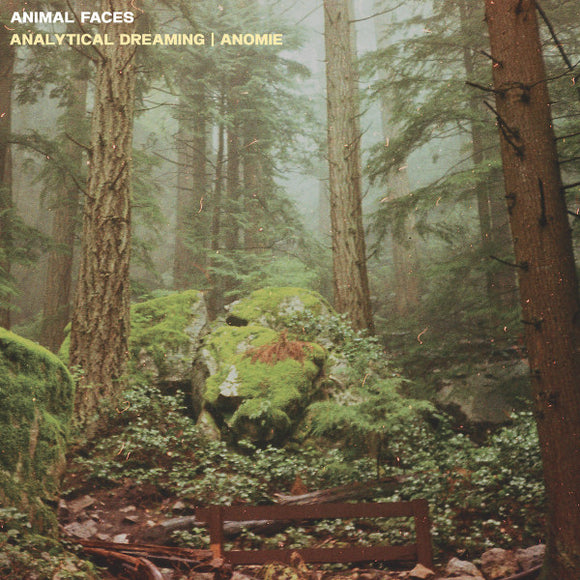 Animal Faces - Analytical Dreaming | Anomie