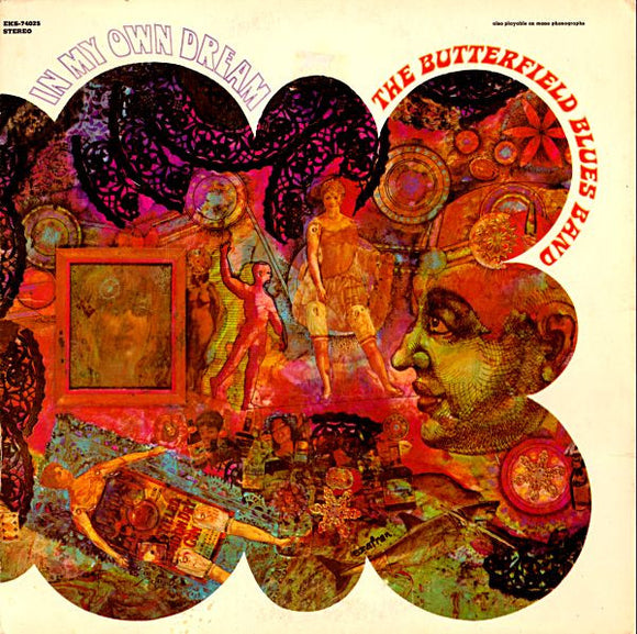 The Paul Butterfield Blues Band - In My Own Dream