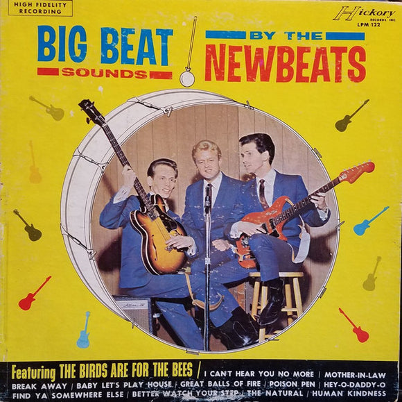 The Newbeats - Big Beat Sounds By The Newbeats