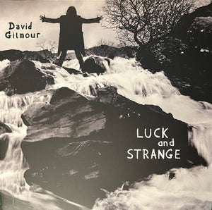 David Gilmour - Luck And Strange