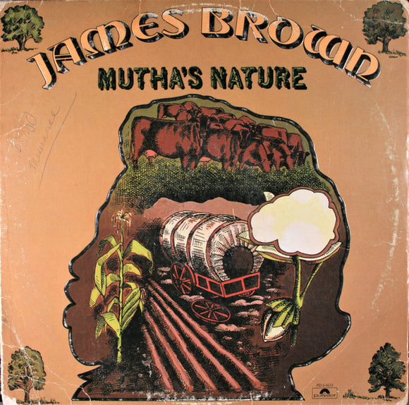 James Brown - Mutha's Nature