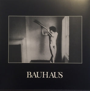 Bauhaus - In The Flat Field