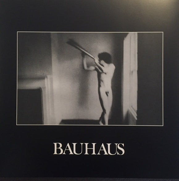 Bauhaus - In The Flat Field