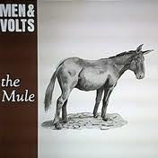 Men & Volts - The Mule