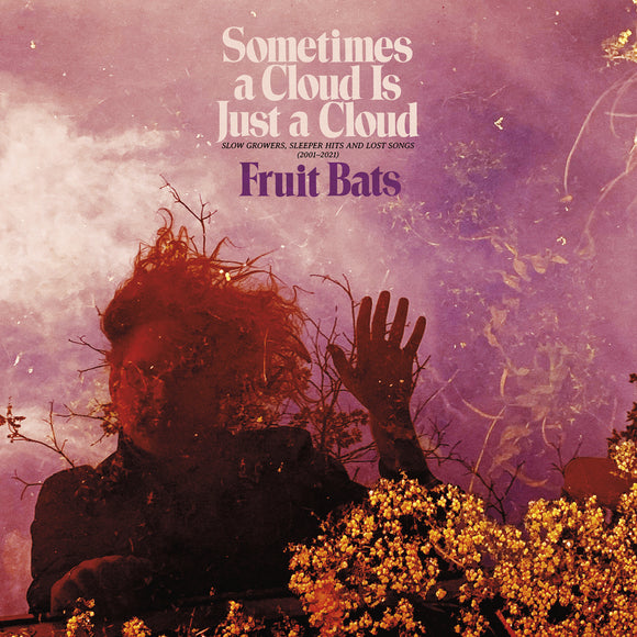 Fruit Bats - Sometimes a Cloud Is Just a Cloud [Pink & Violet Swirl 2LP]