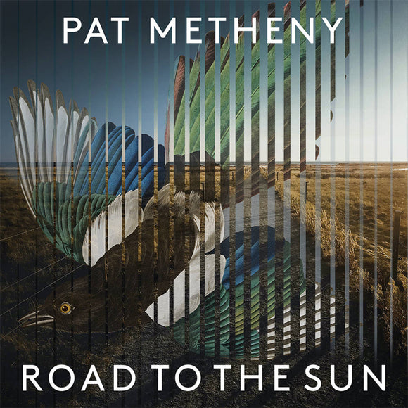Pat Metheny -Road To The Sun