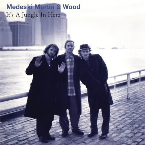 Medeski Martin and Wood - It's a Jungle in Here