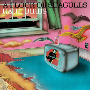 A Flock Of Seagulls - Rare Birds