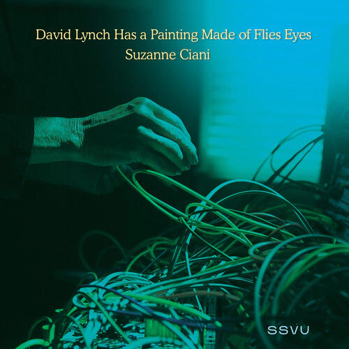 Silversun Pickups & Butch Vig - David Lynch Has A Painting Of Flies Eyes