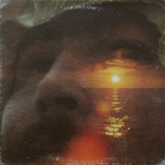 David Crosby - If I Could Only Remember My Name