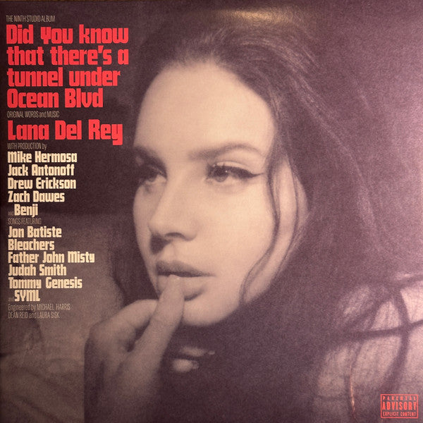 Lana Del Rey - Did You Know… レコード Amazon.com: Did you know there's a tunnel Under Ocean Blvd