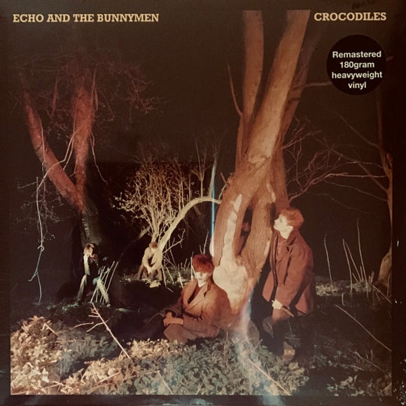 Echo And The Bunnymen - Crocodiles