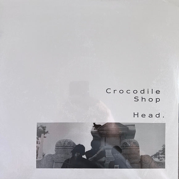 Crocodile Shop - Head.