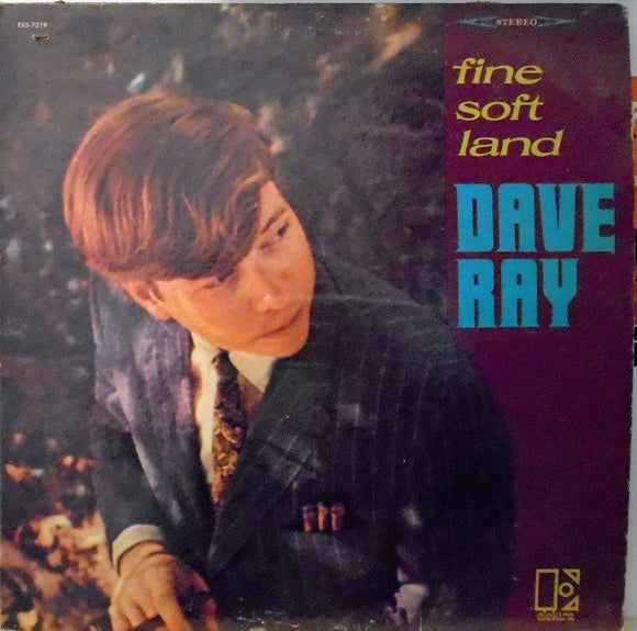 Dave Ray - Fine Soft Land