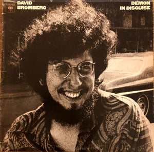 David Bromberg - Demon In Disguise
