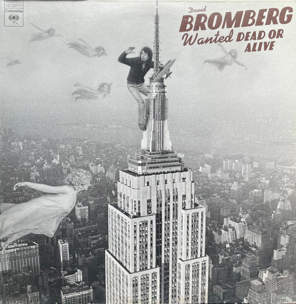 David Bromberg - Wanted Dead Or Alive